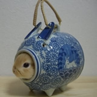 yujm