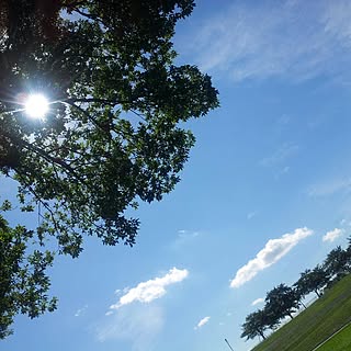 naru