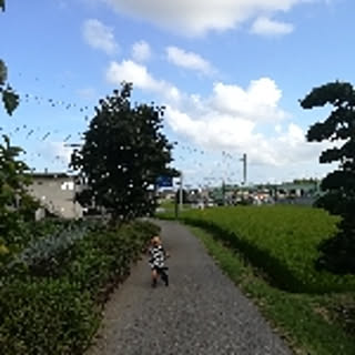abcdefg23