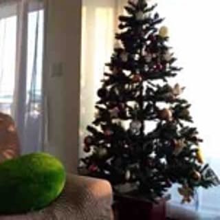 kiki