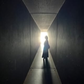 hiba_arborvitae
