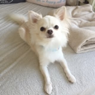 moe