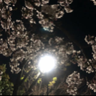 Saori