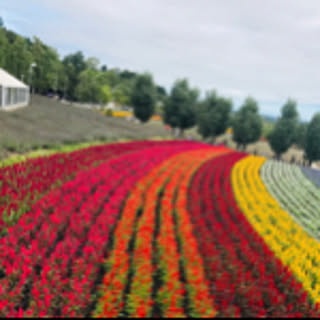 kinapon