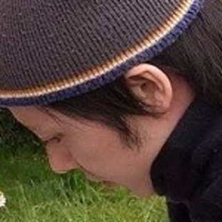 Kottaro