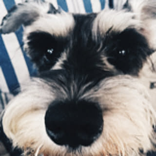 naoyxx