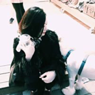 shirohebisaaan