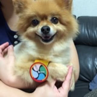 Miho