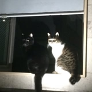 nao.