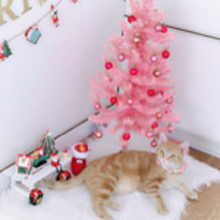 Ayaka