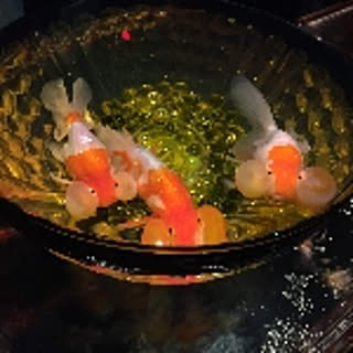 noa