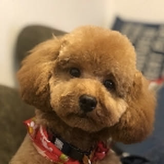 jun