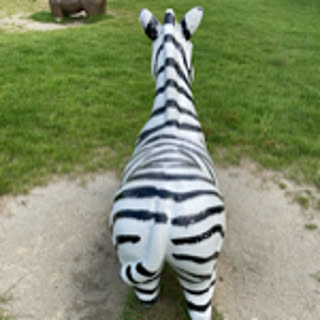zabonzabon