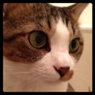 kiki
