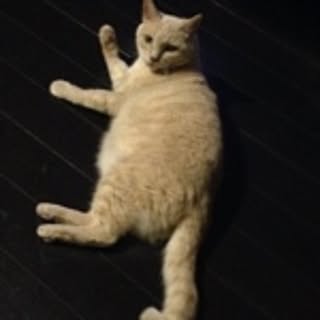 momaki