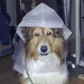 N0N