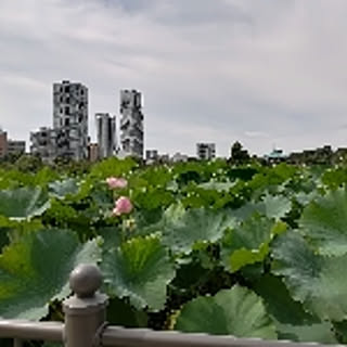 aaaa