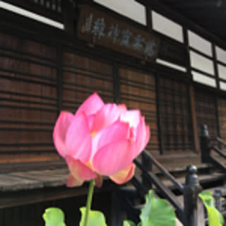 silent