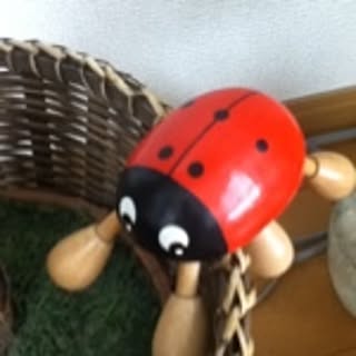 anko