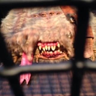kkaarrrt