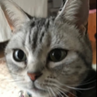 miru