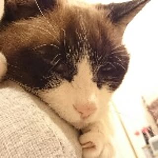 lilinana