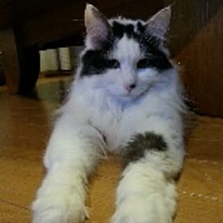 baru