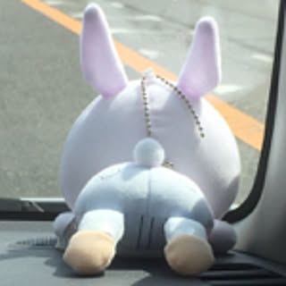 haruki