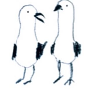 shirokina