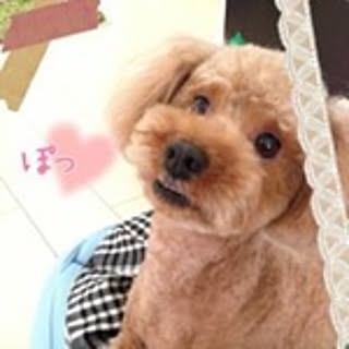 tomo