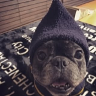 pinoko