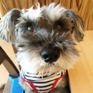 kimi