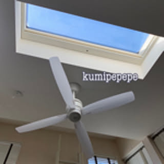 kumipepepe