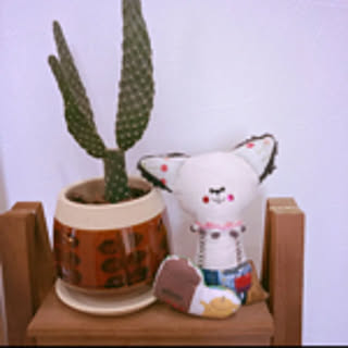 pi_chan