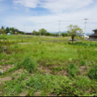tanishi