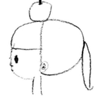___lokki