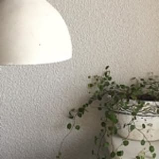 Yoko