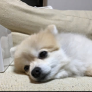 itoiko