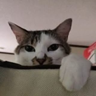 Yusuke
