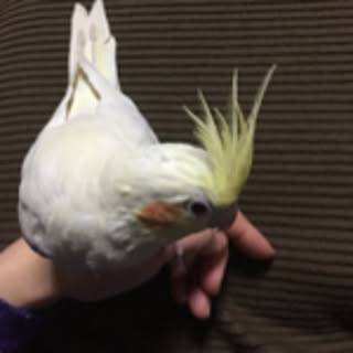manamana