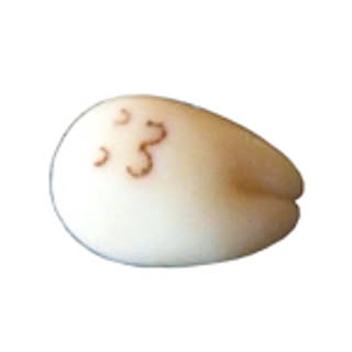 siratama