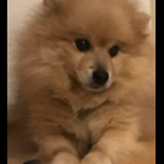 Hiroshi