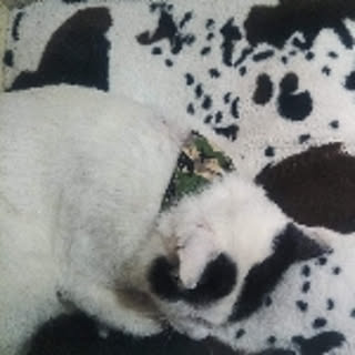 my