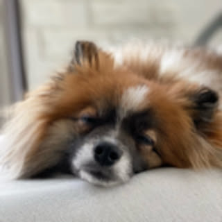 po