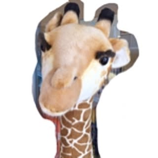 yossi