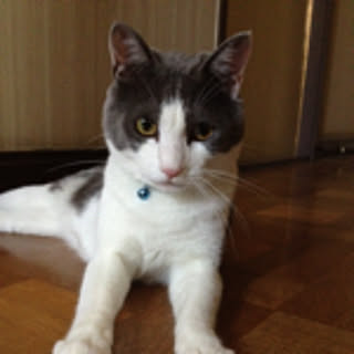 manmaru