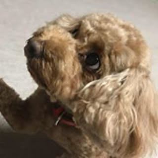 Chizuko
