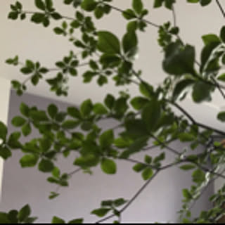 aco.