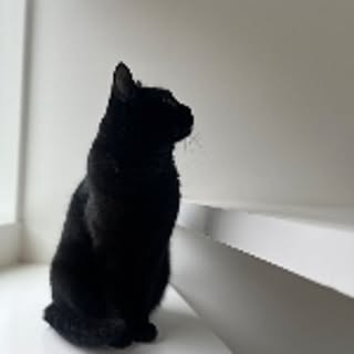 Blackcat