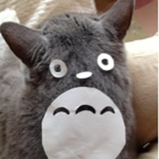kamikiri